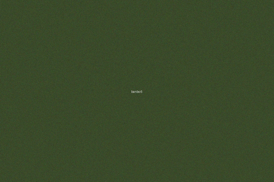 六合彩半波歷史數據統計圖表