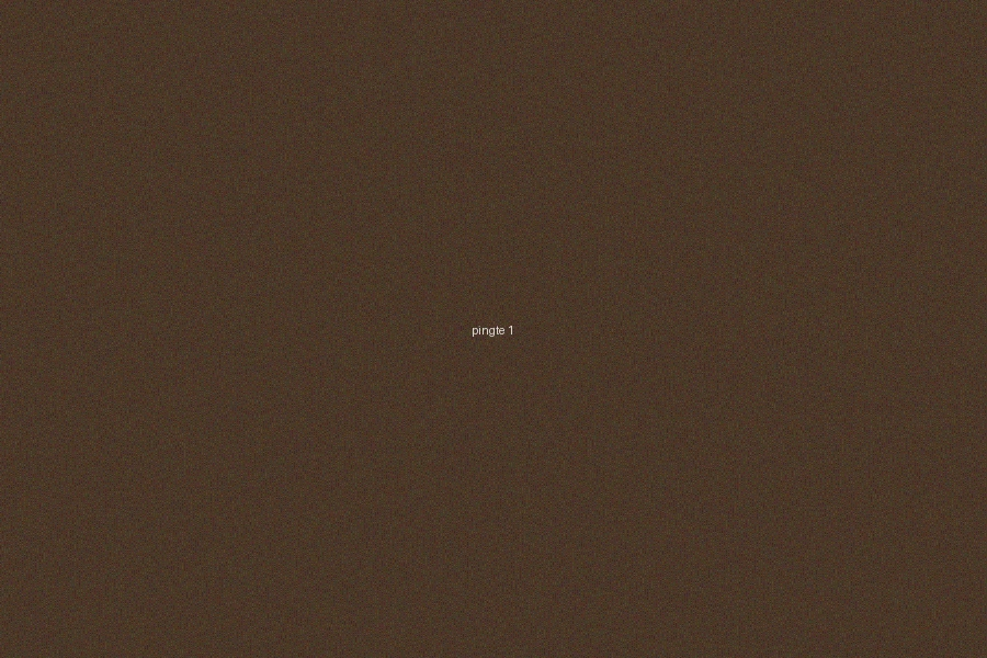 六合彩平特一肖玩法基礎教學